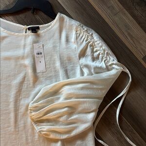 Ann Taylor Cream Blouse with Ruched Sleeves